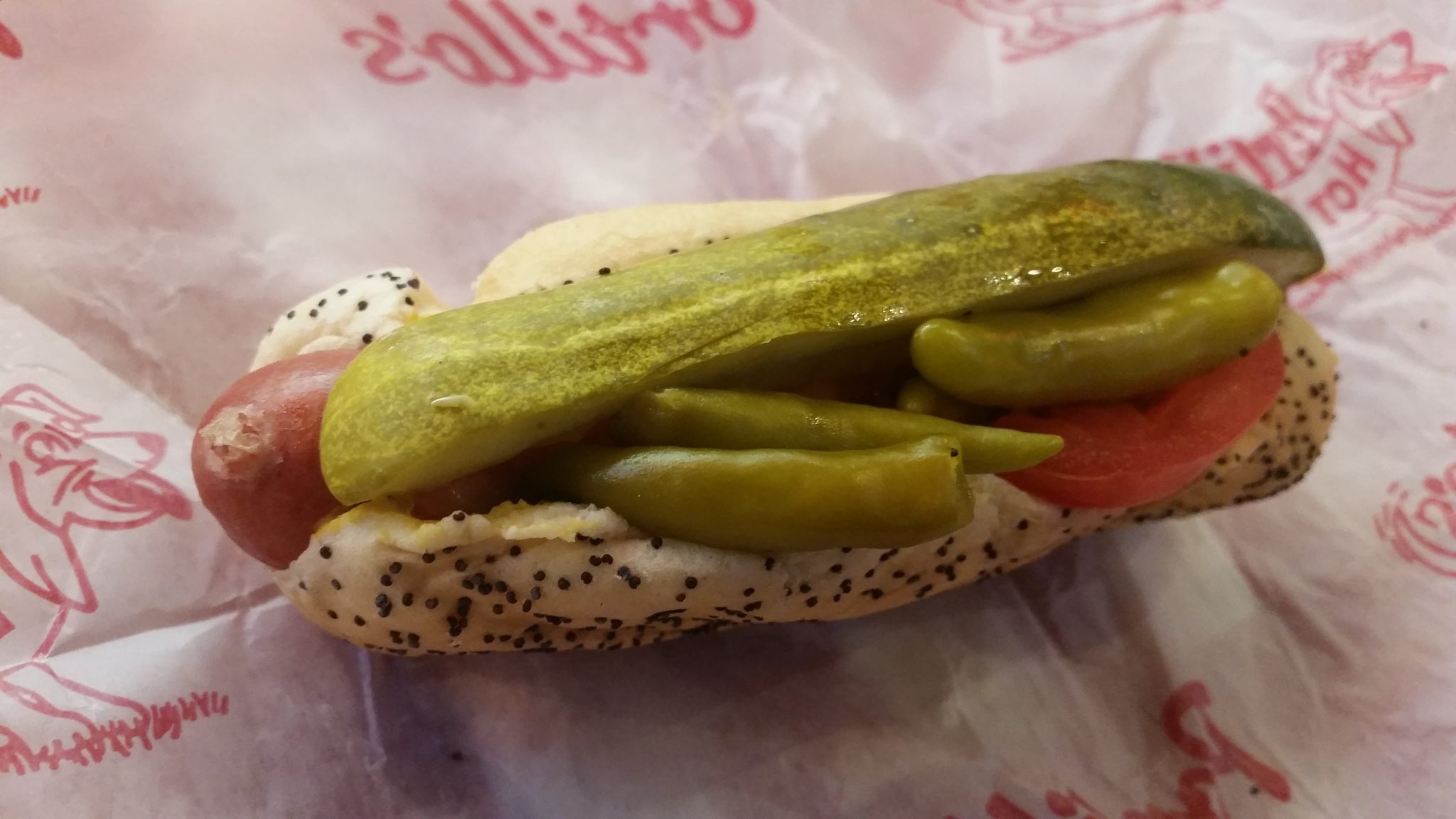 A Perfect Day In Chicago Style Hot Dog 